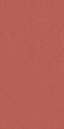 COLOR CULTURE Matte Porcelain Tile Collection - Image 5